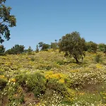 Terraco E Mar דירה