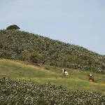 דירה Terraco E Mar אלבור