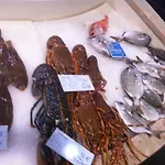 דירה Terraco E Mar אלבור