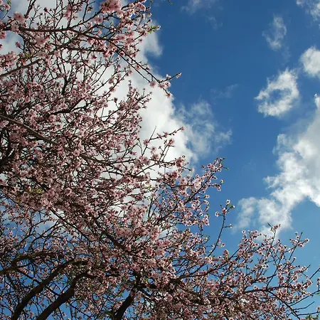 Terraco E Mar דירה