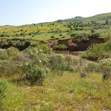 Terraco E Mar דירה אלבור