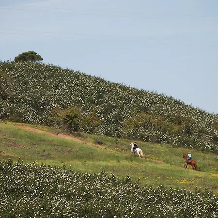 דירה Terraco E Mar אלבור