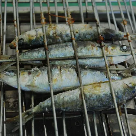 Terraco E Mar Apartment Alvor