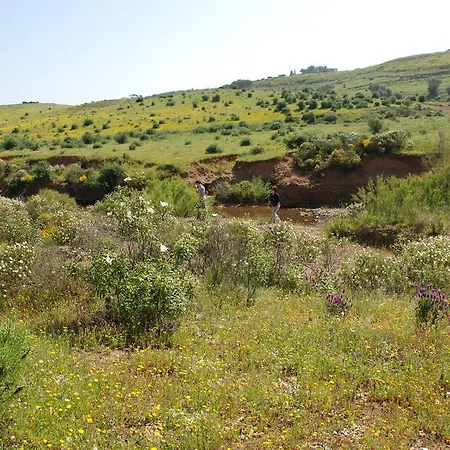 Terraco E Mar Apartamento Alvor