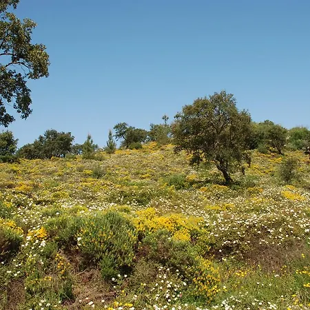 Terraco E Mar Apartment