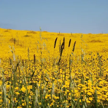 Apartment Terraco E Mar Alvor