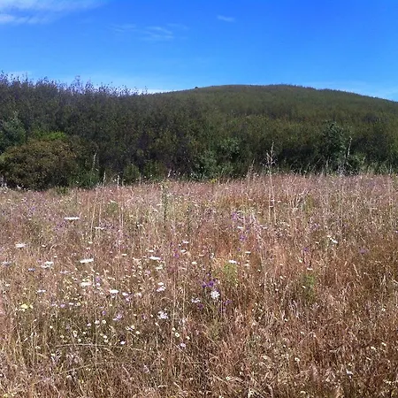 アパート Terraco E Mar アルヴォル
