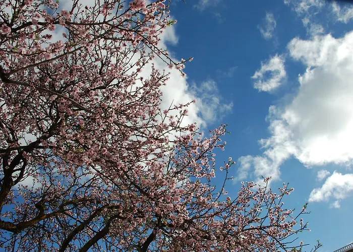 Terraco E Mar Apartmán