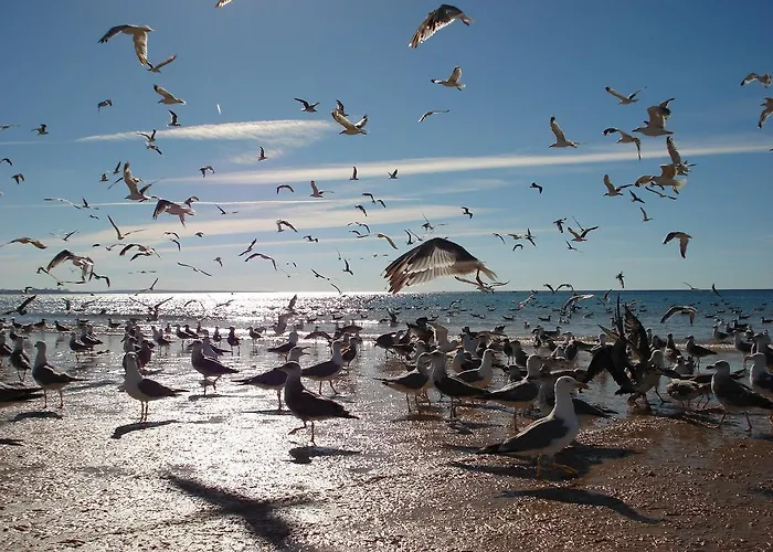 Terraco E Mar Apartmán