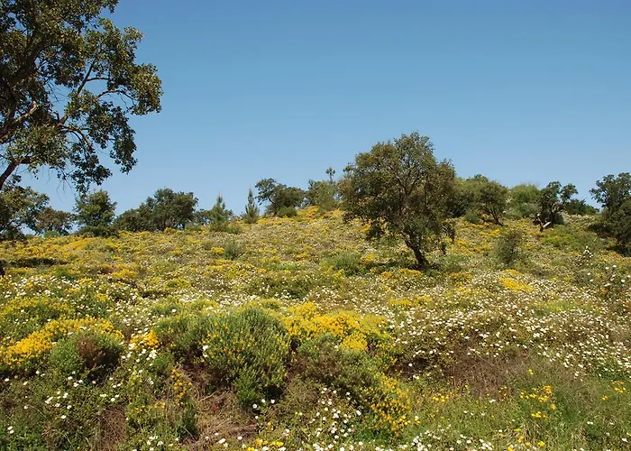 Terraco E Mar Apartmán