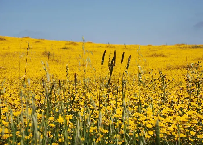 Apartmán Terraco E Mar Alvor
