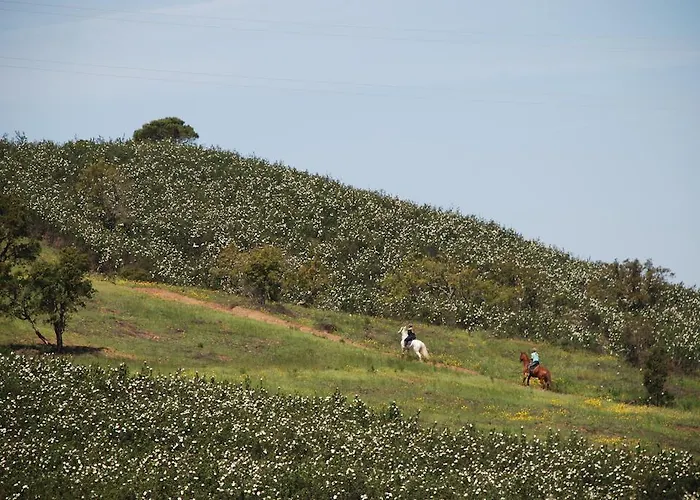 Apartmán Terraco E Mar Alvor