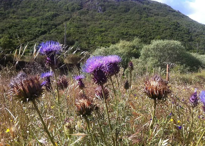 Apartmán Terraco E Mar *